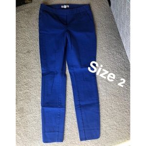 Royal Blue Skinny Pants